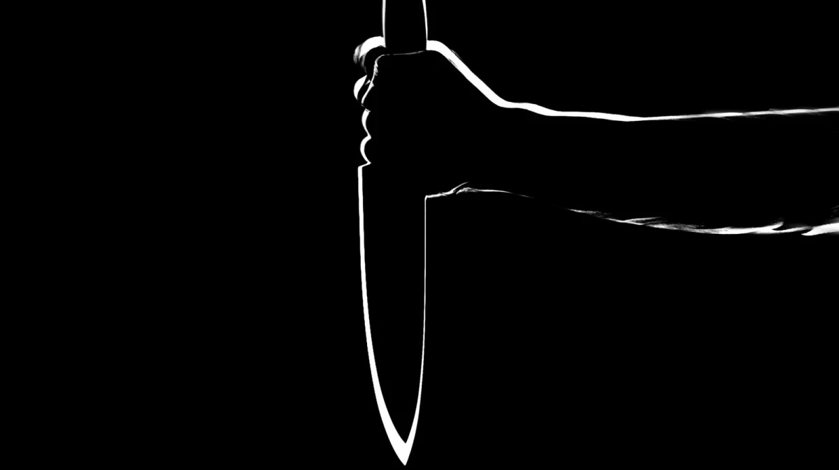 В Воронеже женщина хотела убить свою племянницу