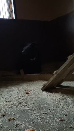 � ��������� ���� �� ������������ �������� �������� �������� ������