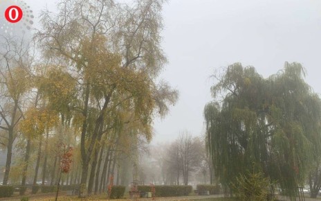 ������ ������� �������� ��������� �������� ����� �� ���� ��������� � ����������� �������