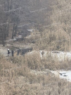 �� ����������� ������������� ���� ����� �� ������� ����