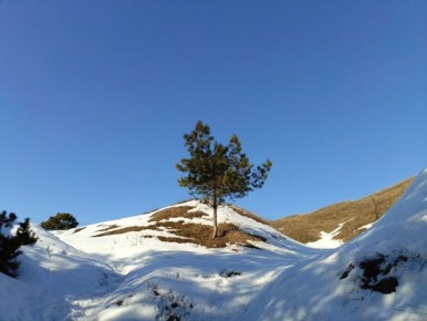 ������ ������������� ������� ���������� � ��� �����������