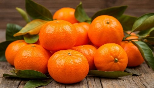 ������ ���������: ��� ���������� ������� ����� ������� � �������� ���������