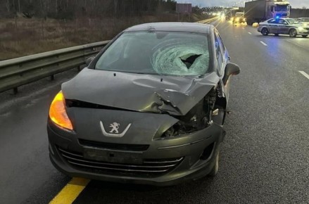 ������� ����� ��� ������� �������� �� ������ ����� ��� ���������