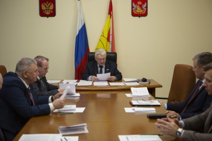 В Воронежской облдуме обсудили поправки к проекту регионального закона о совершенствовании правовых основ работы народных дружин