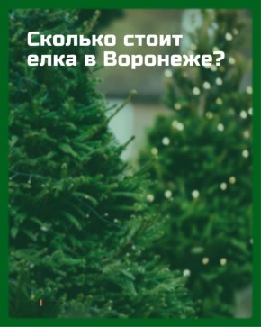 ������� ����� ���� � ��������