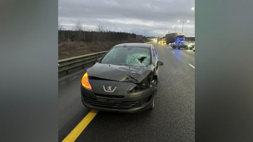 � �������� �� ������ �������� �� �������� Peugeot �������� ���� ��������