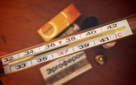 � ����������� ������� �� ������ ���������� ���������� ���� ������� �� 2786 �������