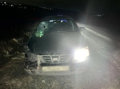 ��� ��������� �������� �������� ���� ��������