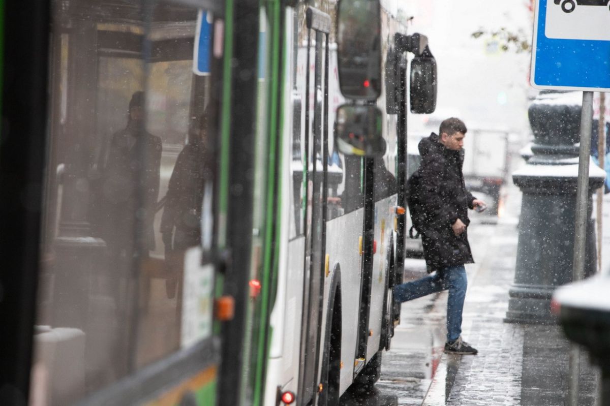 Маршрут №142 «Воронеж - Староживотинное - Рамонь» закрывается с нового года