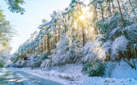 �� ������ ���� ��� ����� ������, � ���� ��������� ��� ������ ������ � �� � ���� ����������� � ���-�� ����� � ��������, ��������� � ��������