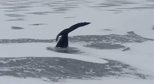 Тайны водохранилища: на чём же держатся земли воронежские?