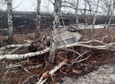 ������� ������������ �� ����������� ������ ����� - ��������: ���� ������������