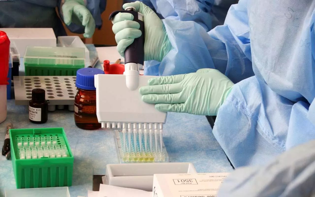 Согласно данным управления Роспотребнадзора по Воронежской области, на последней полной неделе 2025 года существенно снизилось число новых случаев заражения коронавирусной инфекцией