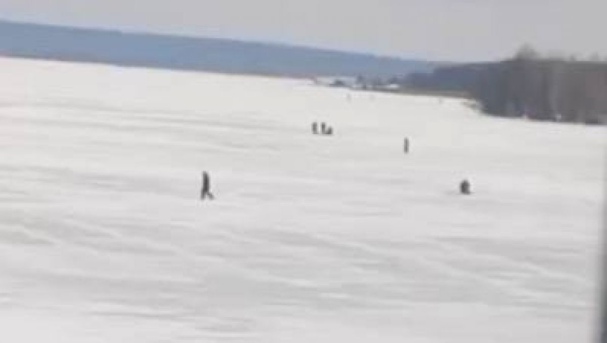 У воронежских рыбаков одна цель — добыть рыбу к праздничному столу