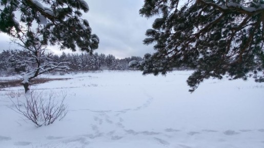 ����������� ����� ������ ���������� ���������� �������: ����