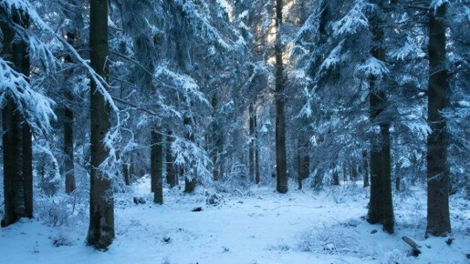 ������ � �������� ����� �������� � �������