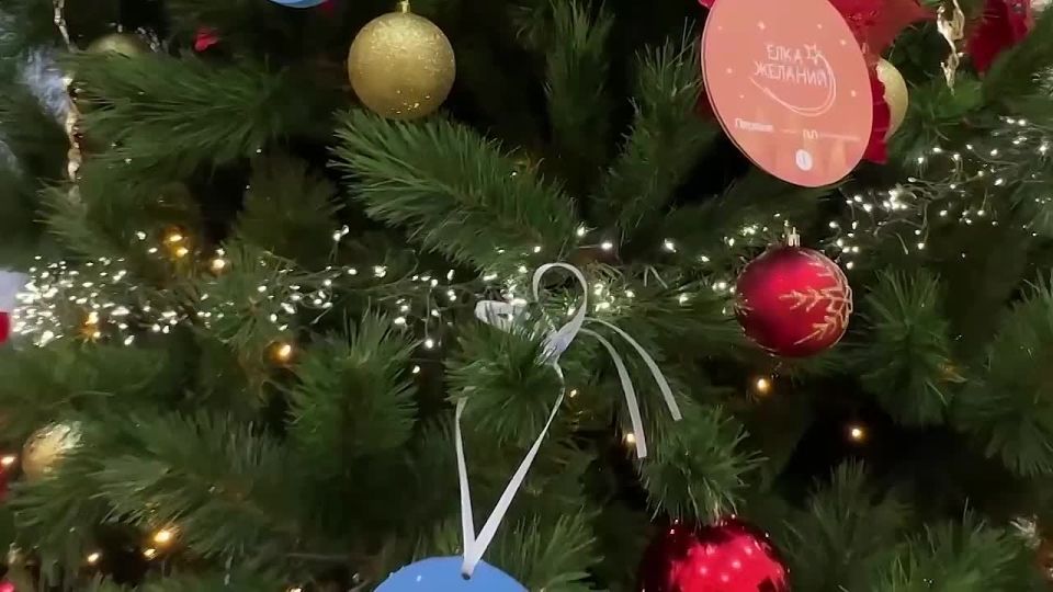 Первый заместитель председателя правительства области Данил Кустов в рамках акции «Елка желаний» исполнил мечты юных воронежцев