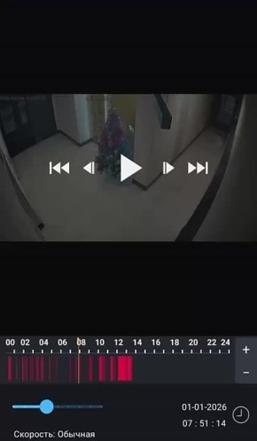 В Воронеже парень ногой снес елку в подъезде