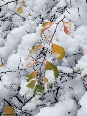 Метеопредупреждение от Воронежского гидрометцентра