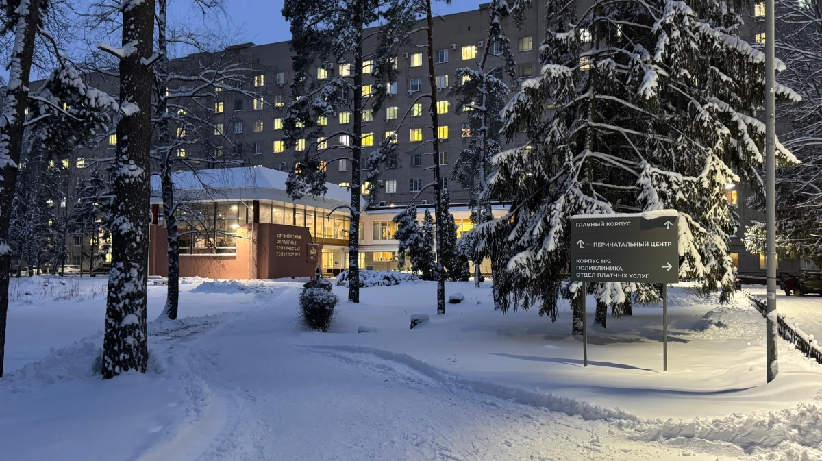 В новогоднюю ночь за помощью в Воронежскую областную больницу обратились 6 человек