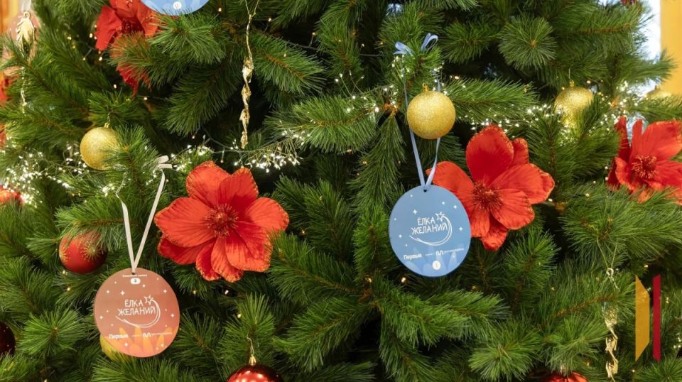 ����������� ���� ������������� ����-����������� ������� ������� �� ���������� �������