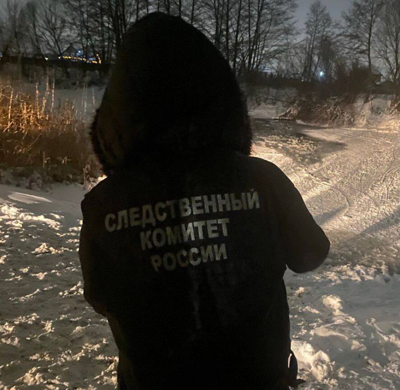 Возбуждено уголовное дело по факту гибели двух детей в селе Новая Усмань