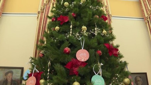 Заместитель губернатора Воронежской области Дмитрий Маслов исполнил мечты с «Ёлки желаний»