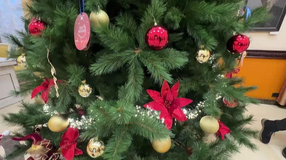 ����������� ������������ ������������� ����������� ������� ������� �������� �������� ������� ���� �����