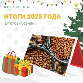 Важная часть лесовосстановления - заготовка семян лесных растений