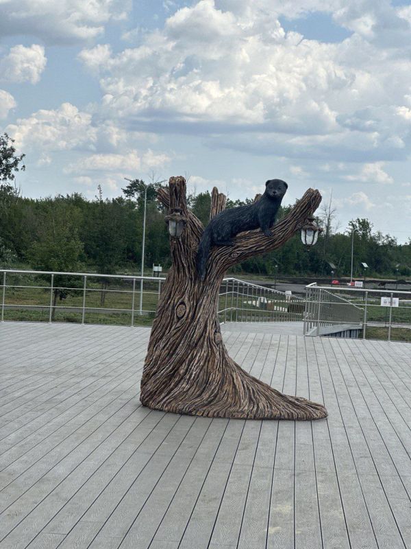 ����� 2025 ����: ���������������, ��� � ���������� �����