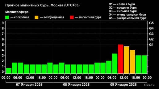 Воронежцев предупредили о магнитной буре 9 января