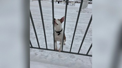 � �������� �� �������������� ������� ������������ ������ ������ ���� ���� �������