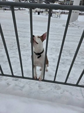 � �������� �� �������������� ������� ������������ ������ ������ ���� ���� �������