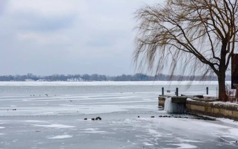 ����� �������� �������� �� ����, ������ ����������� ������� � �������� ������������ ��� ����������