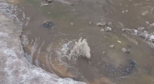 ������ �� �����: � �������� �� ����� ������� ����� ����������� ��������������� ����