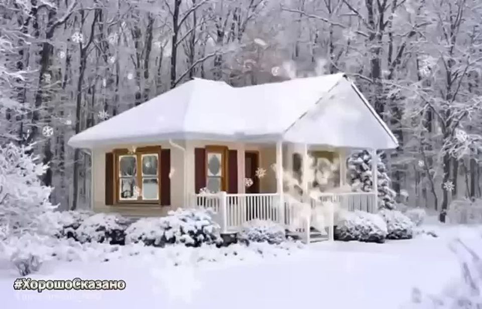 Ирина Волк: Друзья! Наступил Новый год, впереди Рождество