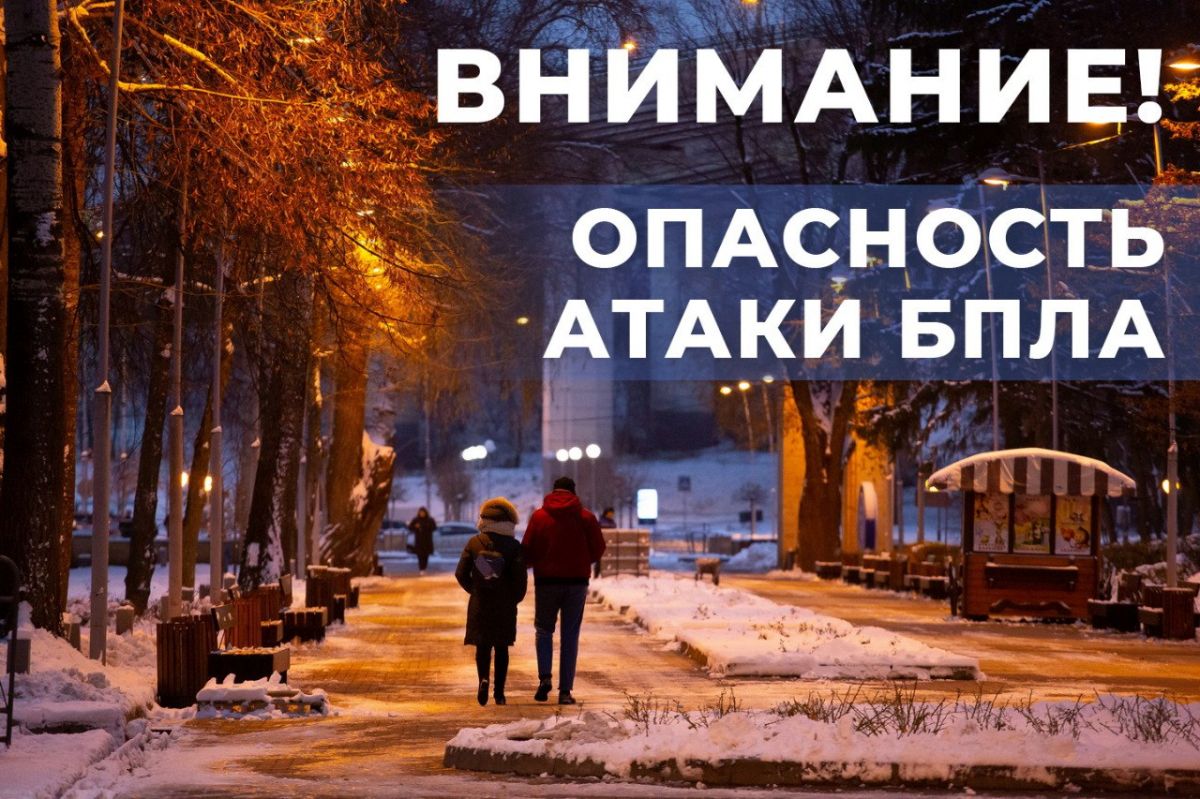 Два беспилотника уничтожили над территорией Воронежской области