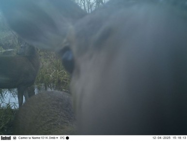 ����������� ���������� �������, ��� ����� �������� ���� � ����