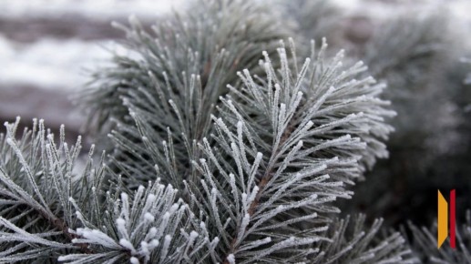 ���������� ���� �������� ������� ������