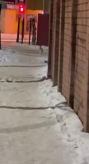 ����, �������� ��������� �������� �� ���������� ���������� �� ����� ������, �������� ��������