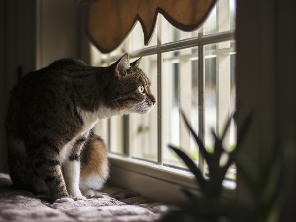 Если бы погода не менялась, тем для разговоров было бы в 2 раза меньше. Представляем прогноз на 13 января в Воронеже