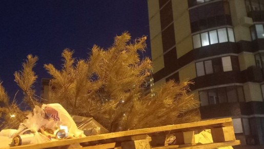 � �������� ������� ������� ������ � �������� ��������