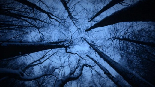 В Воронеже мертвым нашли 17-летнего длинноволосого подростка