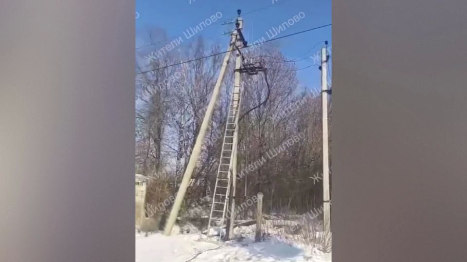В Воронеже жители СНТ «Дальние сады» и «Ближние сады» вновь остались без света