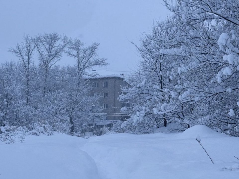 ��������� ���������� ������ ��� ������ � �������