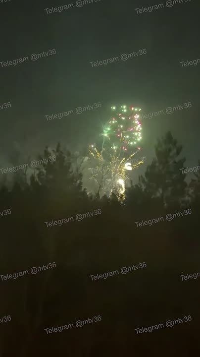 Воронежцы пожаловались на запуск салюта вечером 14 января