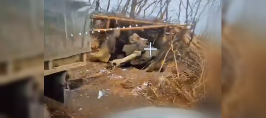 СПЕЦНАЗ РОСГВАРДИИ УНИЧТОЖИЛ ГАУБИЦУ «МСТА-Б» ВСУ НА ХАРЬКОВСКОМ НАПРАВЛЕНИИ