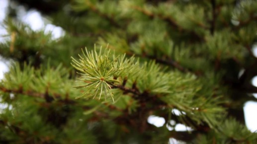 ����� ��� ����������. ���� ����� ���������� ���� �� �����������