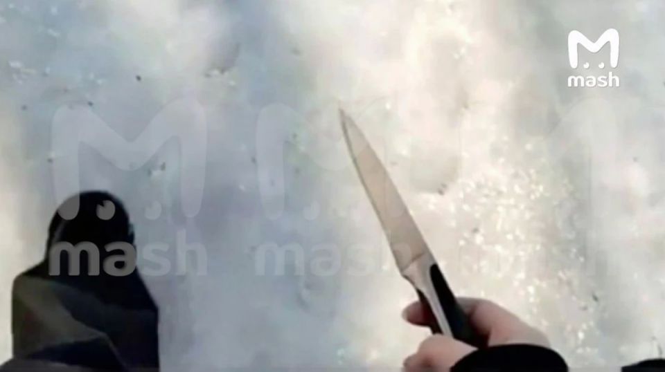 Пришедшая с ножом в школу в Воронеже девочка снимала стрим