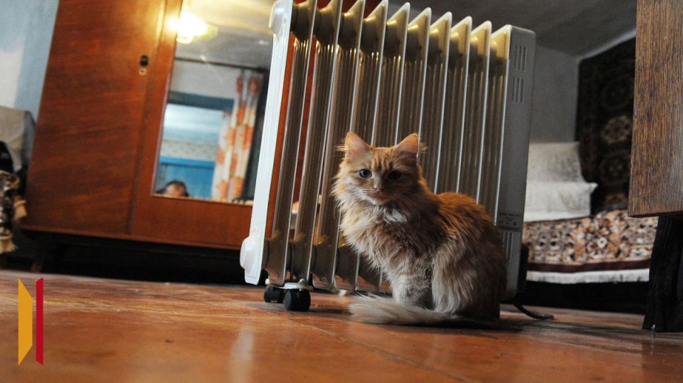 ������� ����������� �������������� � ����������� ������� ����� ������ �� ���� ������